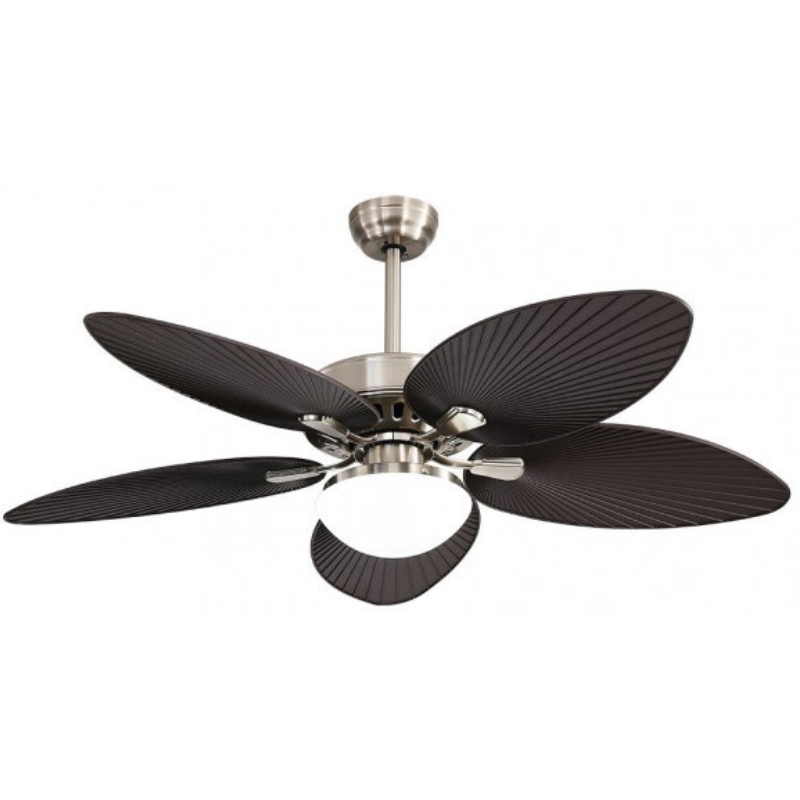 Ventilador Borasco